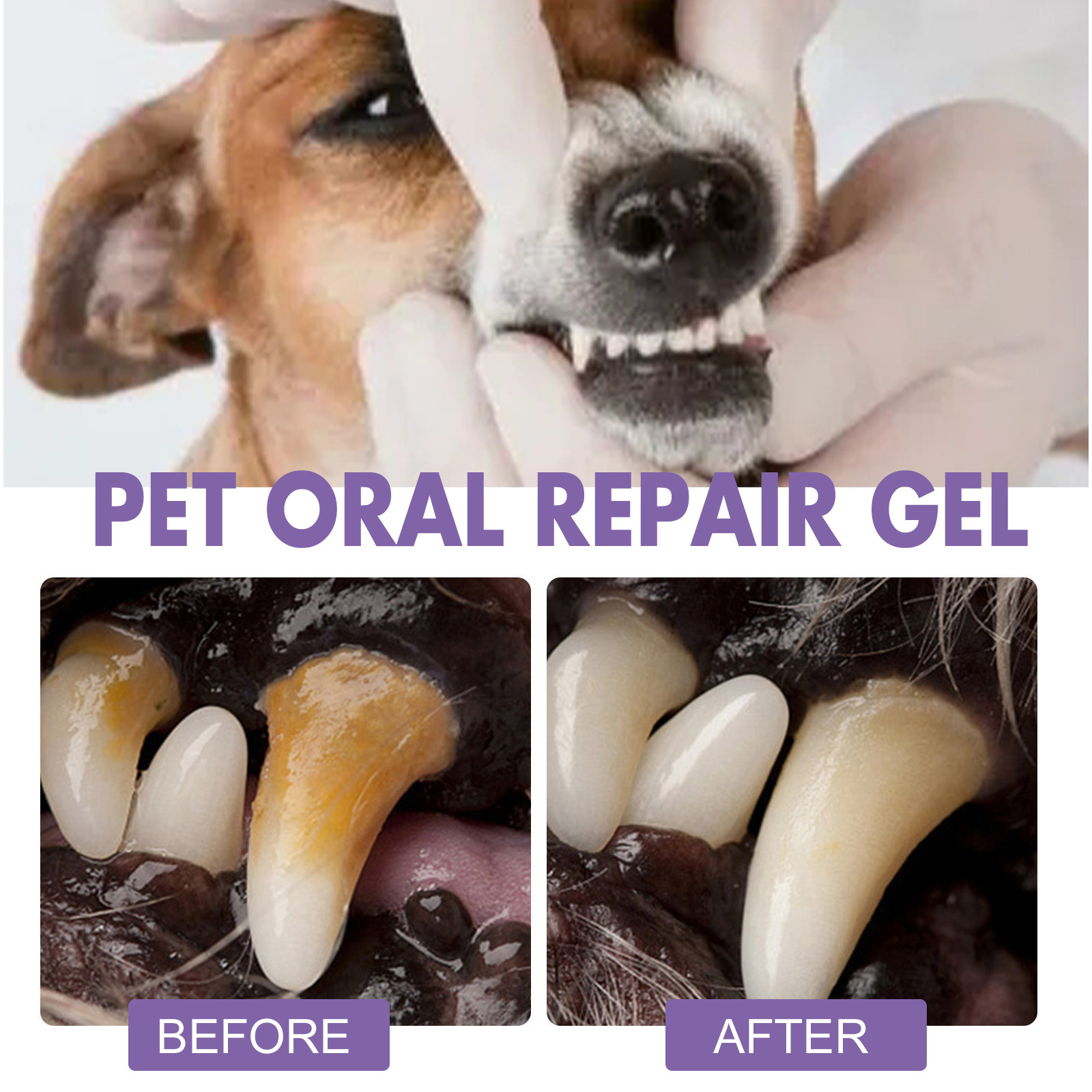 Pet Oral Repair Gel Puppy Tart - огляд і ціна Teeth Whitening Groupon